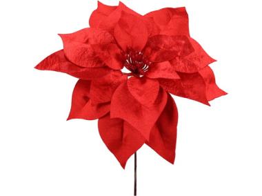 Zdjęcie: Gwiazda betlejemska pik 24 cm czerwona JUMI