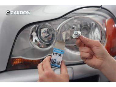Zdjęcie: Halogen H7 12 V CARDOS