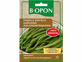Fasola zwykła karłowa Jagusia zielonostrąkowa 25 g BIOPON