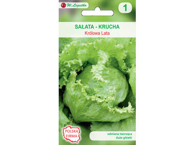 Zdjęcie: Sałata głowiasta krucha Królowa Lata nasiona tradycyjne 0.5 g W. LEGUTKO