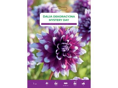 Zdjęcie: Dalia ogrodowa Mystery Day LEGUTKO