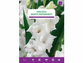 Mieczyk White Prosperity LEGUTKO