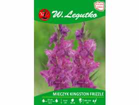 Mieczyk Kingston Frizzle seria tradycyjna W.LEGUTKO