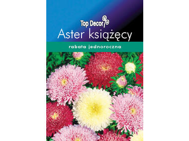 Zdjęcie: Aster książęcy TOP DECOR