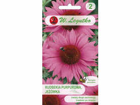 Rudbekia purpurowa Jeżówka W.LEGUTKO