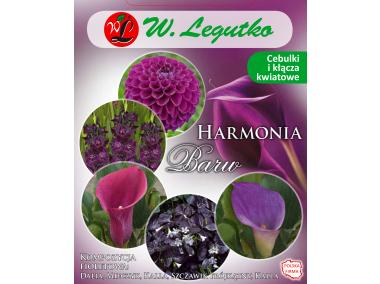 Zdjęcie: Kompozycja fioletowa Harmonia Barw Wiosna W.LEGUTKO