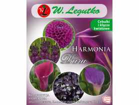 Kompozycja fioletowa Harmonia Barw Wiosna W.LEGUTKO