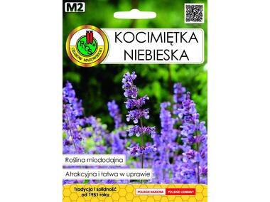 Zdjęcie: Kocimiętka niebieska 0,5 g PNOS