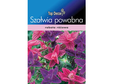 Zdjęcie: Szałwia powabna TOP DECOR