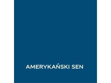 Zdjęcie: Farba lateksowa 1 L amerykański sen matowa EASYCARE DISNEY