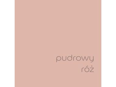 Zdjęcie: Farba lateksowa EasyCare 2,5 L pudrowy róż DULUX