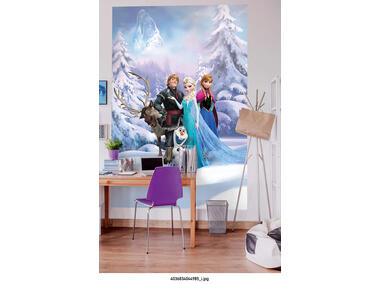 Zdjęcie: Fototapeta Frozen Winter Land VENA