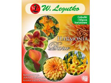 Zdjęcie: Kompozycja żółto-czerwona Harmonia Barw Wiosna W.LEGUTKO