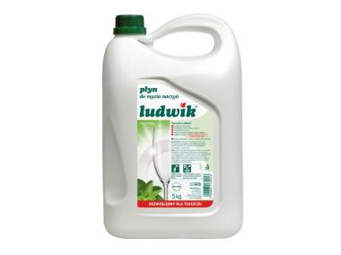 Zdjęcie: Płyn do mycia naczyń miętowy 5 L LUDWIK