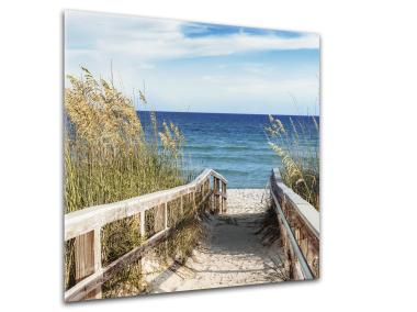 Zdjęcie: Obraz Glasspik Nature 30x30 cm Gl332 Catani STYLER