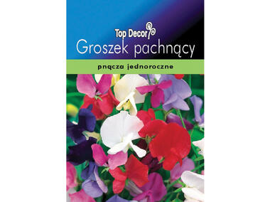 Zdjęcie: Groszek pachnący TOP DECOR