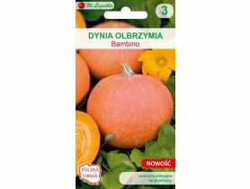 Dynia olbrzymia Bambino pomarańczowe W. LEGUTKO