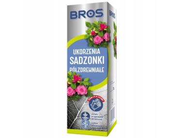 Zdjęcie: Preparat do ukorzeniania sadzonek półzdrewniałych 70 g BROS