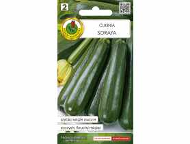 Dynia zwyczajna cukinia Soraya 2 g PNOS