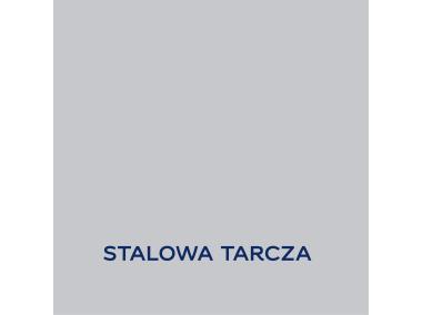 Zdjęcie: Farba lateksowa 2,5 L stalowa tarcza matowa EASYCARE DISNEY
