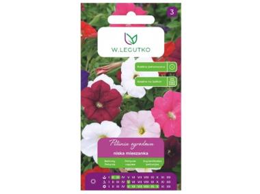 Zdjęcie: Petunia ogrodowa niska zwarte mieszanka 0,10 g W.LEGUTKO