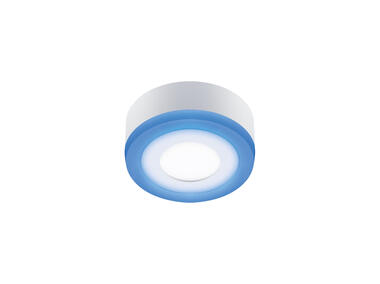 Zdjęcie: Oprawa sufitowa SMD LED Alden LED C 3 W + 3 W NW kolor biały 3 W + 3 W STRUHM