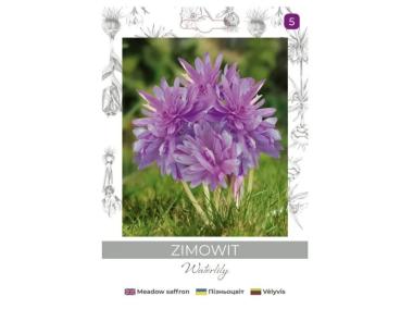 Zdjęcie: Zimowit Waterlily lilaróżowy 1 sztuka W.LEGUTKO