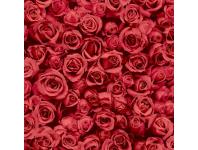 Tapeta Ugepa róże L77010 POLAMI