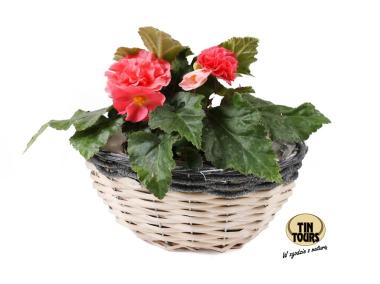 Zdjęcie: Osłonka wiklinowa na doniczkę 23x17x12 cm TIN TOURS