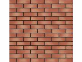 Płytka klinkierowa 65x250x10 mm słoneczny brzeg gatunek I KING KLINKER