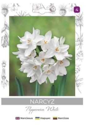 zdjęcie produktu