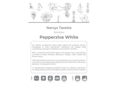Zdjęcie: Narcyz Pepperziva White biały 3 sztuki W.LEGUTKO