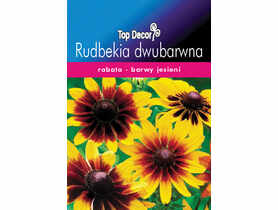 Rudbekia dwubarwna TOP DECOR