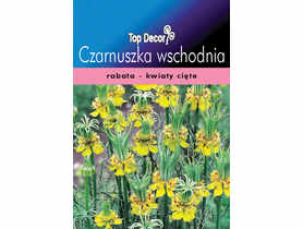 Czarnuszka wschodnia TOP DECOR