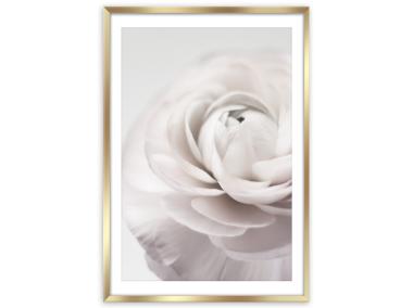 Zdjęcie: Plakat Framepic 50x70 cm Fp012 Petals STYLER
