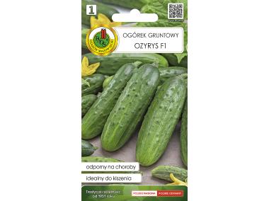 Zdjęcie: Ogórek gruntowy Ozyrys F1 2 g PNOS