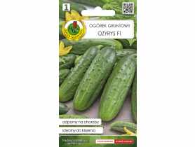 Ogórek gruntowy Ozyrys F1 2 g PNOS