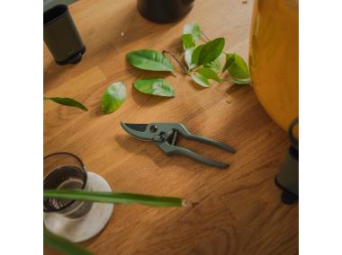 Zdjęcie: Sekator Plant Care z pojemnikiem FISKARS