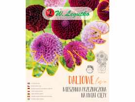 Mieszanka przeznaczona na kwiat cięty W.LEGUTKO