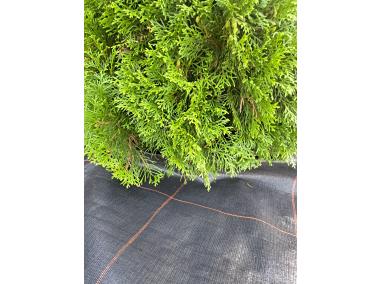 Zdjęcie: Tkanina ściółkująca czarna 140 g Agrola Hydro Fiber Mat 1 x 10 m AGRIMPEX