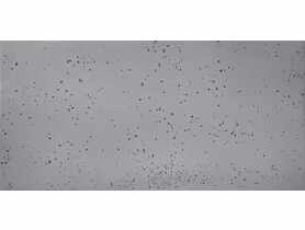 Beton architektoniczny Stockholm 2 STONES