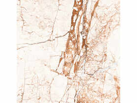 Gres szkliwiony Marmo Rosso Polished 60x60 cm Ceramika NETTO