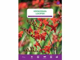 Kroksmia Lucifer LEGUTKO