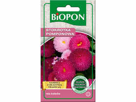 Stokrotka pomponowa mieszanka 0,1 g BIOPON