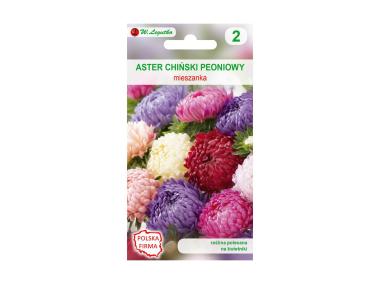Zdjęcie: Aster chiński peoniowy nasiona tradycyjne 1 g W. LEGUTKO