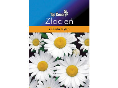 Zdjęcie: Złocień TOP DECOR