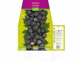 Malina czarna GARTENLAND