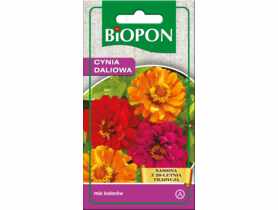 Cynia wytworna daliowa mieszanka 1 g BIOPON