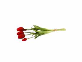 Bukiet tulipanów 5 szt. guma CV13554-7 TOP GIFTS