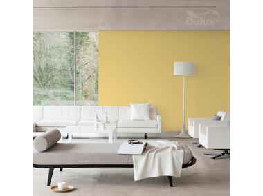 Zdjęcie: Farba do wnętrz EasyCare 5 L słoneczny patrol DULUX